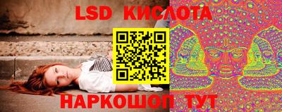 стаф Дубна