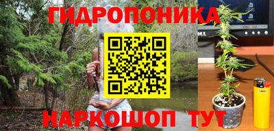 кокс Заволжье