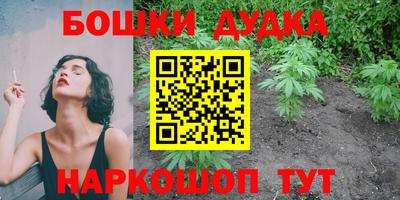 стаф Дубна