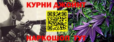 стаф Дубна
