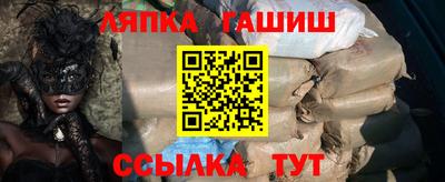 стаф Дубна