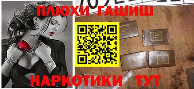 стаф Дубна