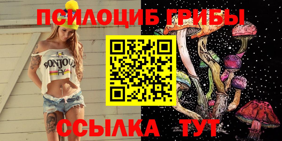 Галлюциногенные грибы Cubensis Ликино-Дулёво