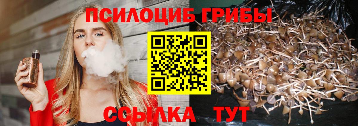 Ликино-Дулёво  Галлюциногенные грибы Cubensis  Галлюциногенные грибы мухоморы  Вход с VPN 